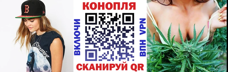 наркота  Покров  МАРИХУАНА план 